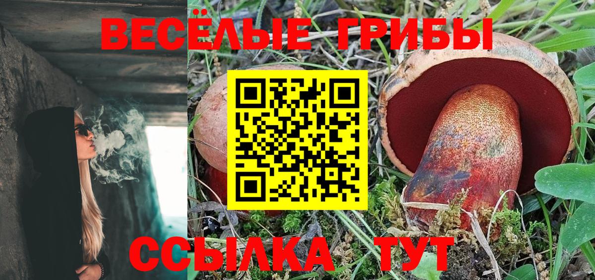 Сочи  Галлюциногенные грибы Cubensis  Вход с VPN 